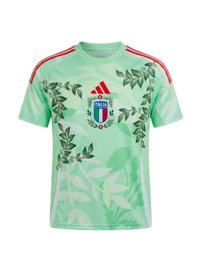 Soccer Jersey Collection