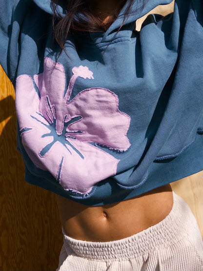 SURF Collection