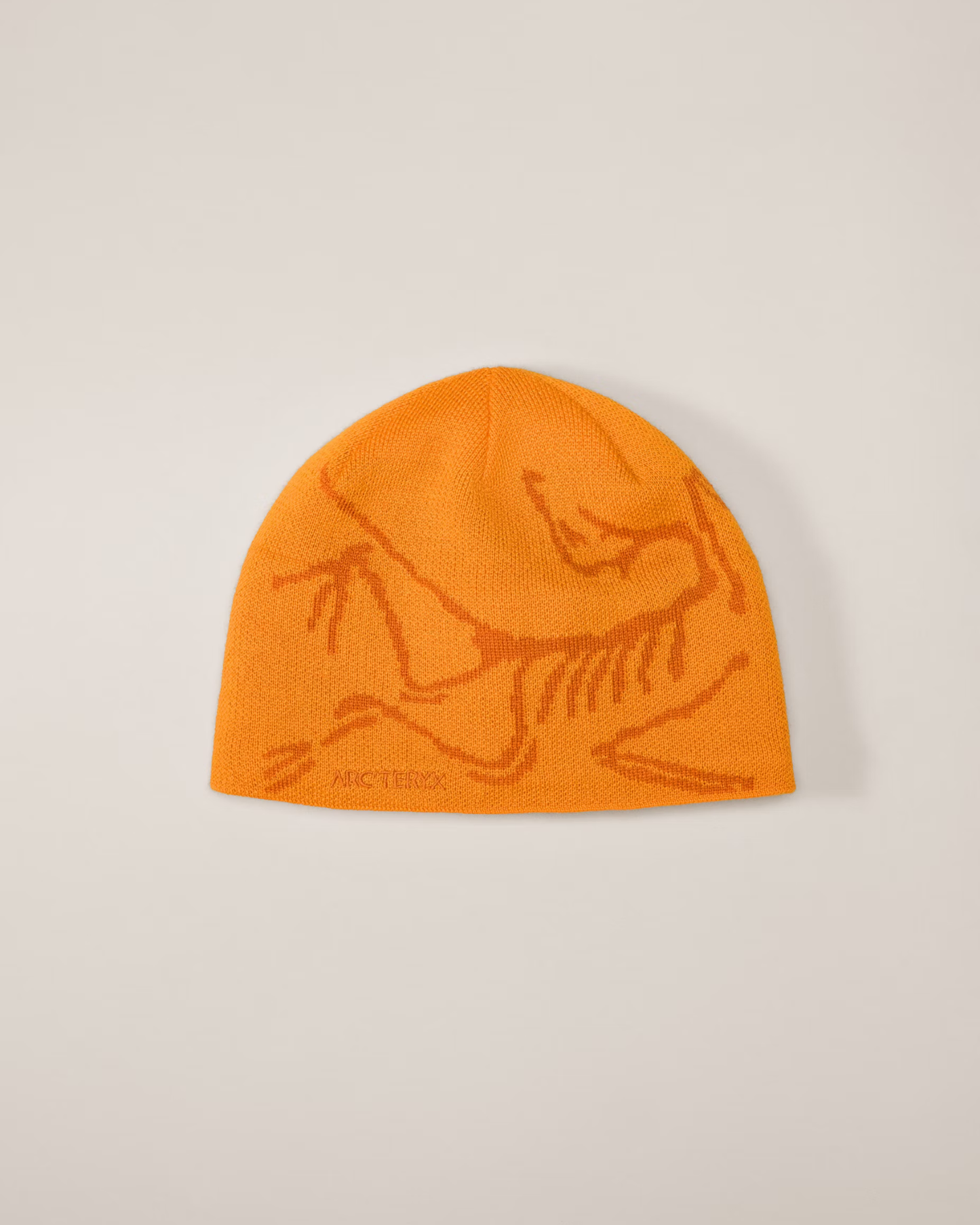 ARC Beanie