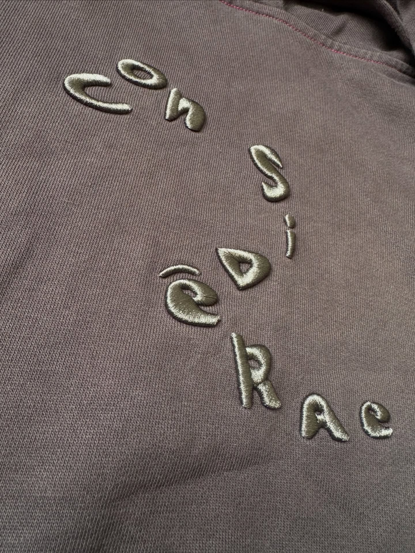 Scarred Wings Hoodie